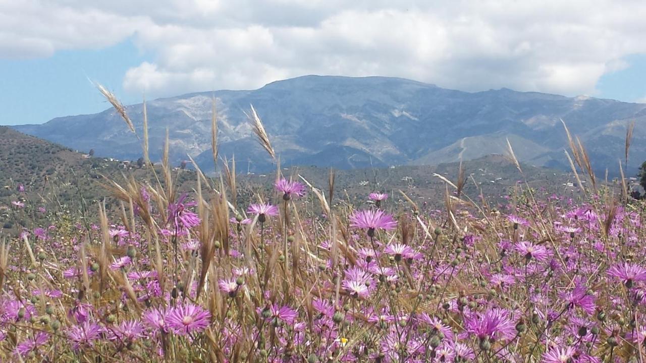 Villa Perla Blanca Sayalonga Dış mekan fotoğraf