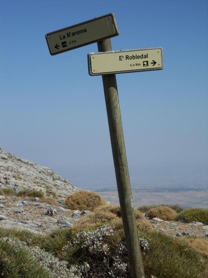 Villa Perla Blanca Sayalonga Dış mekan fotoğraf